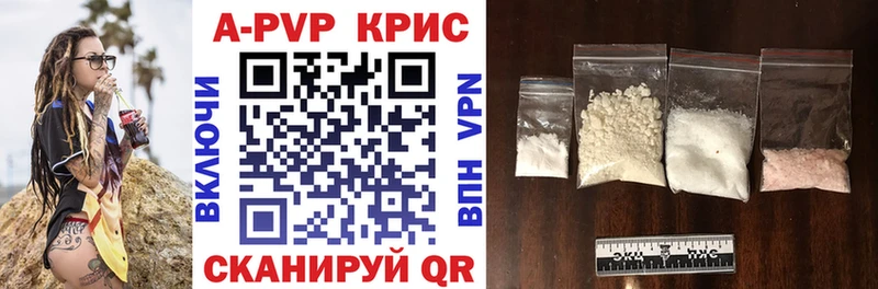 Альфа ПВП СК КРИС  Кизилюрт 