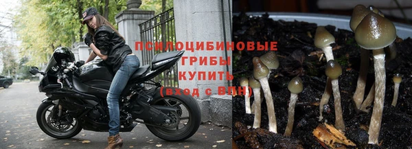 тгк Балабаново