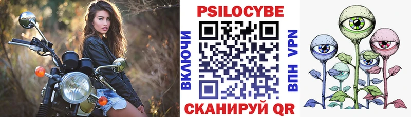 Галлюциногенные грибы MAGIC MUSHROOMS блэк спрут как войти Кизилюрт
